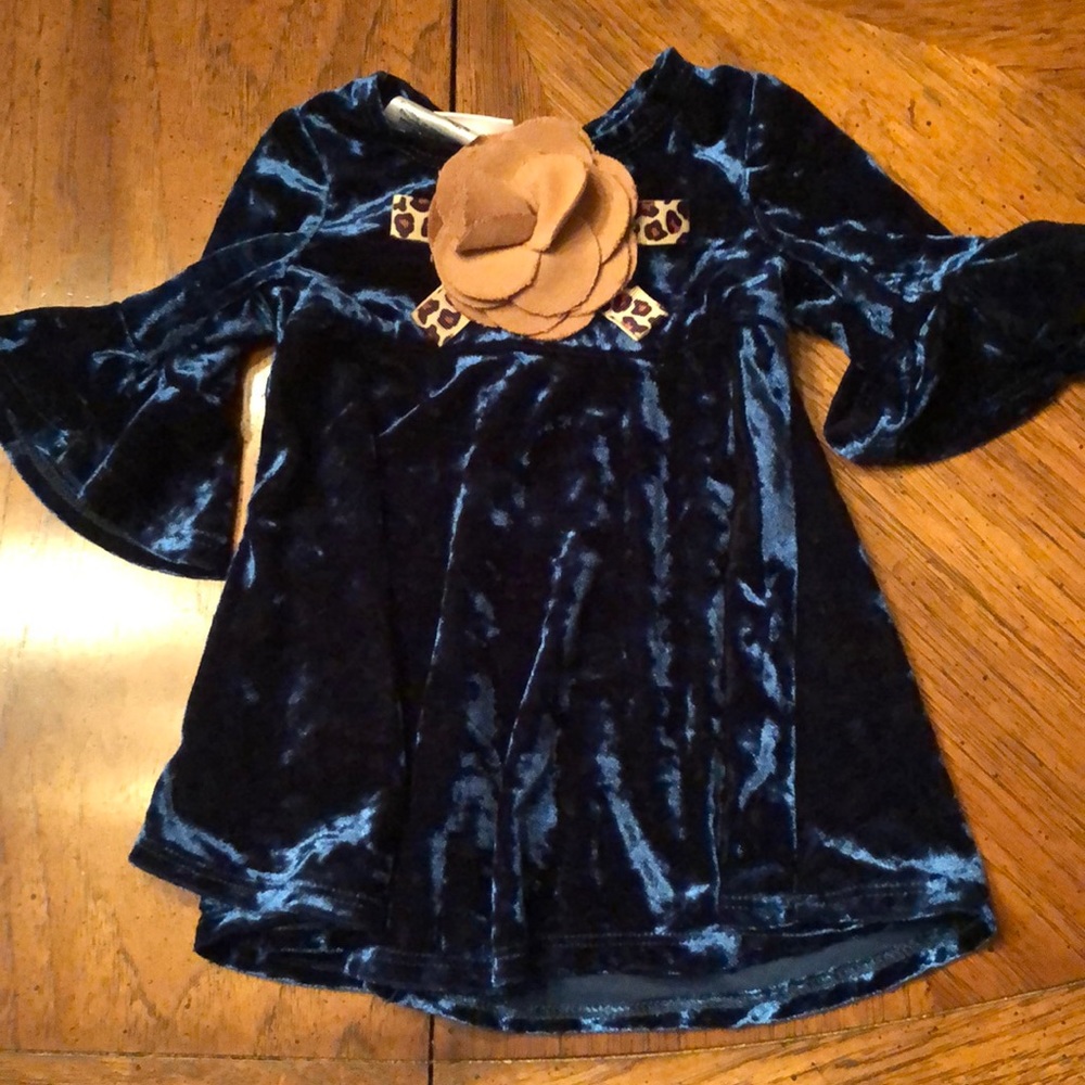 Bonnie Baby 6-9 Month Dress